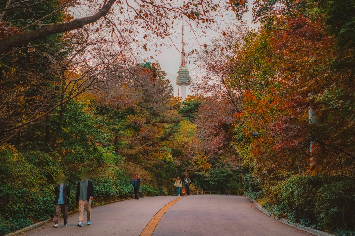 Walking with Grief to Build a Liberated Future